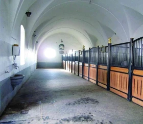 Klima ve stáji v zimě