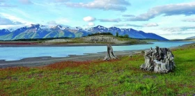 Patagonie