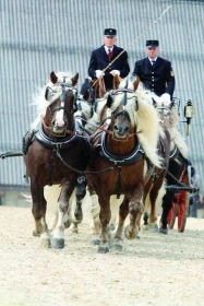 Zemský hřebčín Marbach