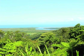 Ptáci Austrálie II