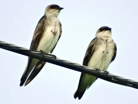 Jižní Amerikou od Atlantiku k Pacifiku