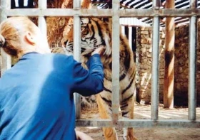 Chcete-li mít ze zvířete radost, nepořizujte si tygra