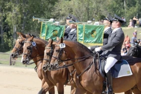 Zemský hřebčinec Moritzburg