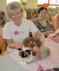 Felinoterapie 1