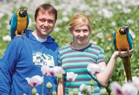 O výchově a tréninku papoušků – 1. část