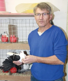 Jak chovat saské čejky, radí Klaus Burkhardt