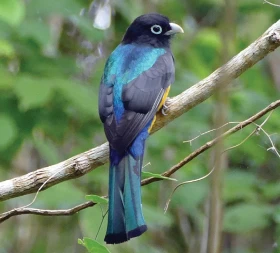 Zemí sopek a tří moří – 2. díl