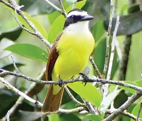 Zemí sopek a tří moří – 4. díl