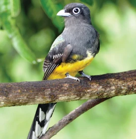 Zemí sopek a tří moří – 5. díl