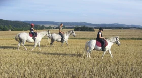 Vlastní kůň – díl 1.