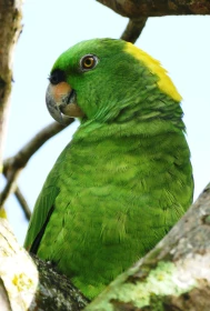 Zemí sopek a tří moří – 6. díl