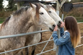 Vlastní kůň, díl 2: Hledám svého nového koně