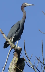 Zemí sopek a tří moří – 7. díl