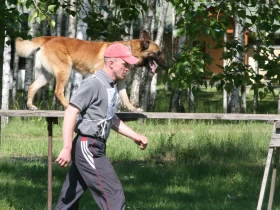 Kamarád vzpomíná na psovoda Tomáše Procházku