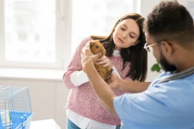 Nejčastější stomatologické problémy u drobných savců