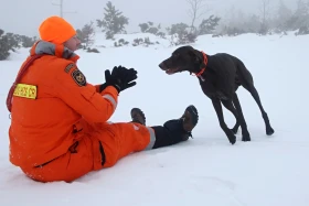 Méně obvyklá plemena ve službě