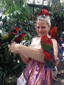 Do Indonésie za papoušky