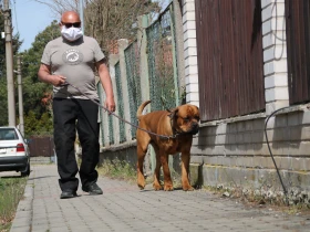 Kdo má radost z koronaviru