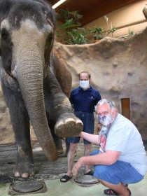 Zoo v době covidu-19 