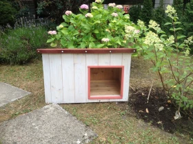 Pes má mít své místo doma i na zahradě