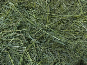 Vlastní kůň, díl 12: Seno