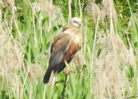 V přírodě je pohyb 3