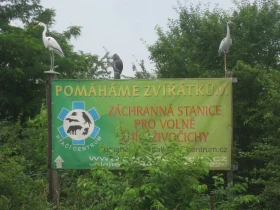 Ptačí centrum v ohrožení – zachraňme záchrannou stanici pro volně žijící živočichy  