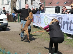 Letos jen vzpomínky na Tomáše Procházku