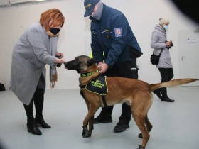 Čeští celníci nezůstávají pozadu