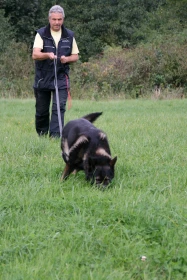 Seriál: Psi proti zločinu