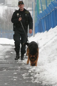 Psi proti zločinu II – Psovod si musí poradit 