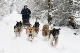 Jak jsme se chystali na závod, který se nekonal