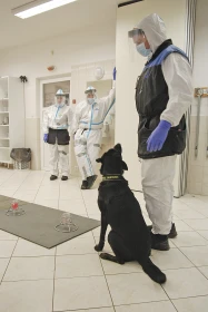 Američan: Děláte skvělou práci