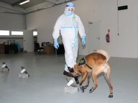 Výcvik psů, který nemá obdoby