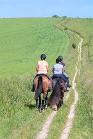 Vlastní kůň, díl 24: Koně a posilování 
