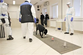 Detekce Covidu-19 je složitější než by se mohlo zdát