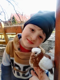 Holubářův rok – duben