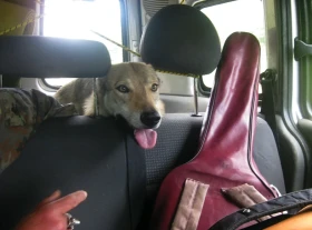 Prázdniny se psem – se čtyřnohým kamarádem po vlasti i do zahraničí