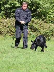 Psi proti zločinu V – Zkušení kynologové pochybují o názorech vědců 