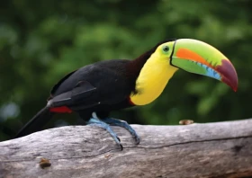 Sierra Nevada de Santa Marta