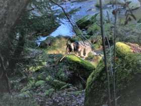 Slabším článkem je člověk – projekt Pátrač zamířil do praxe 