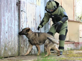 Psí specialisté 20 let po teroristických útocích v USA