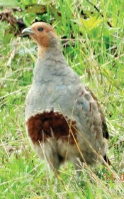 Co jsem viděl skrz delší objektiv 3