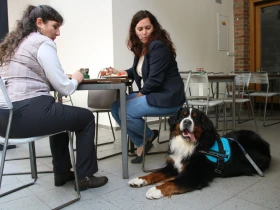 Překvapivá nominace