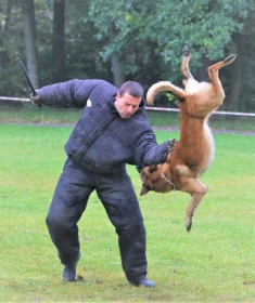 Konečně závod! Psů se služebním výcvikem