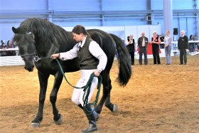 Pořádání výstav, přehlídek a soutěží se zvířaty