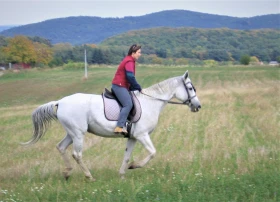 Vlastní kůň, díl 36: Po zimě začínáme s koněm zase pracovat 