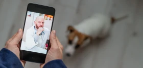 Americký TeleVet už šestým rokem urychluje řešení potíží mazlíčků