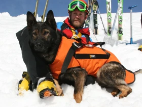 Psi proti zločinu VII - Hledá se miminko