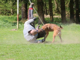 Konečně se dočkali šampionátu: Mistrovství republiky obranářů ČR SKS TART 2022